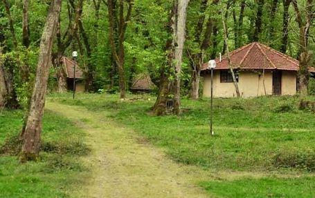 tourImageSmall